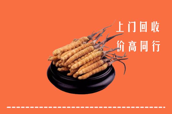 高价求购：宣恩县回收散虫草