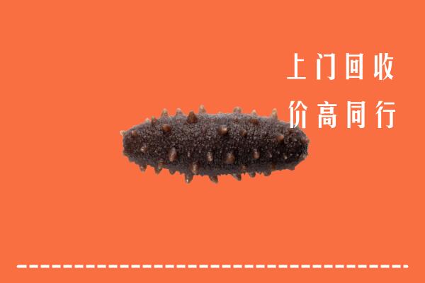 高价求购：宣恩县回收海参