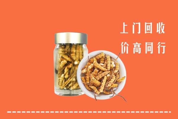 宣恩县高价回收冬虫夏草