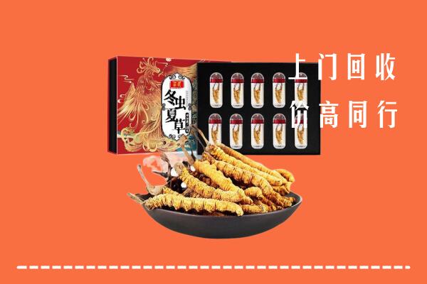 宣恩县高价回收虫草